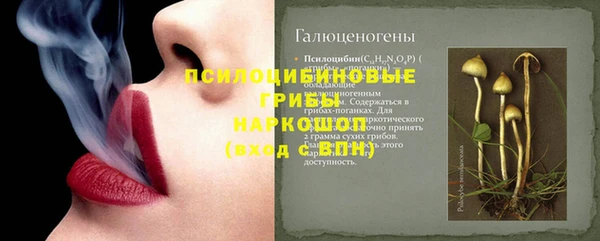 дживик Баксан