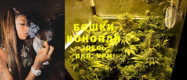 дживик Баксан