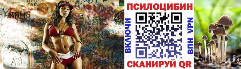 hydra ссылки  Чекалин  Псилоцибиновые грибы Magic Shrooms 